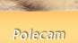 Polecam